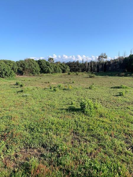 Finca Dos Vientos Ταρίφα Εξωτερικό φωτογραφία
