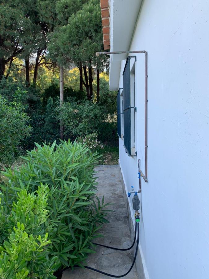 Finca Dos Vientos Ταρίφα Εξωτερικό φωτογραφία